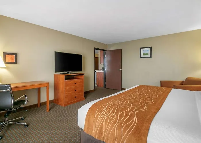 Comfort Inn&suites I-57 Hotel