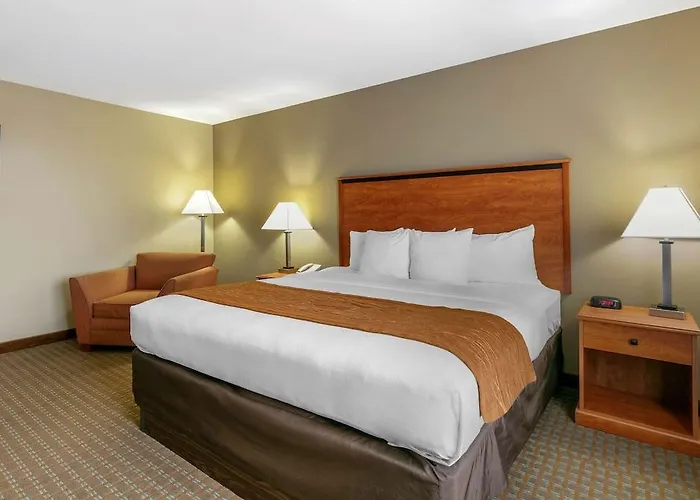 Hotel Comfort Inn&suites I-57