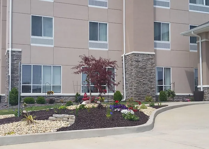 Comfort Inn&suites I-57 Hotel
