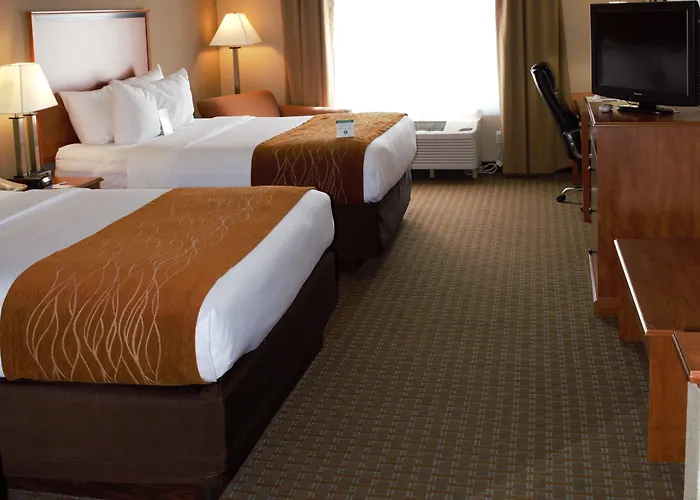 Hotel Comfort Inn&suites I-57 5*