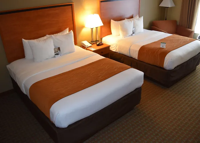 Comfort Inn&suites I-57 Hotel
