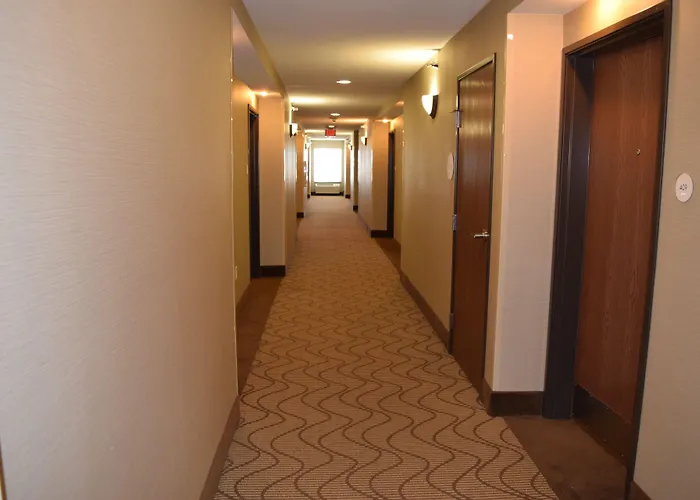 Comfort Inn&suites I-57 5*