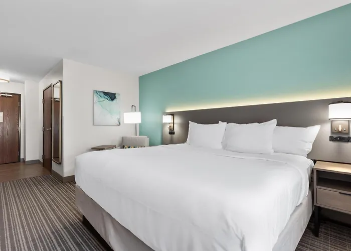 Comfort Inn&suites I-57 Hotel