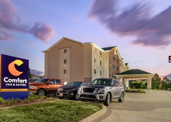 Comfort Inn&suites I-57 Hotel