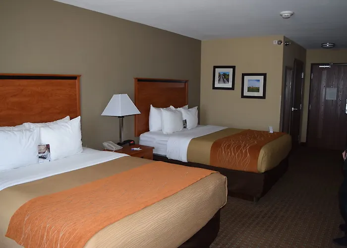 Comfort Inn&suites I-57 Hotel 5*