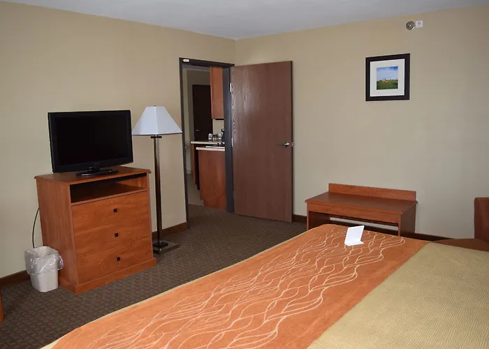 Comfort Inn&suites I-57 Hotel